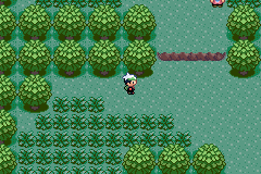 HACK ROM \POKEMON EMERALD HARD MODE